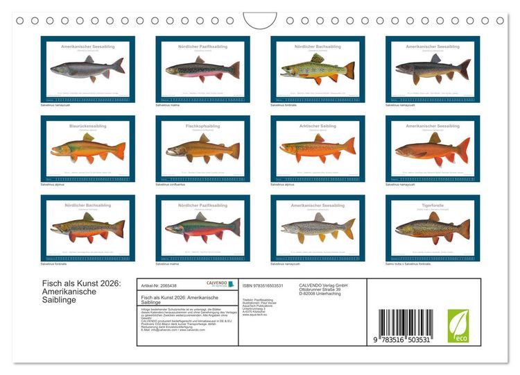 Produktbild: Fisch als Kunst 2026: Amerikanische Saiblinge (Wandkalender 2026 DIN A4 quer), CALVENDO Monatskalender