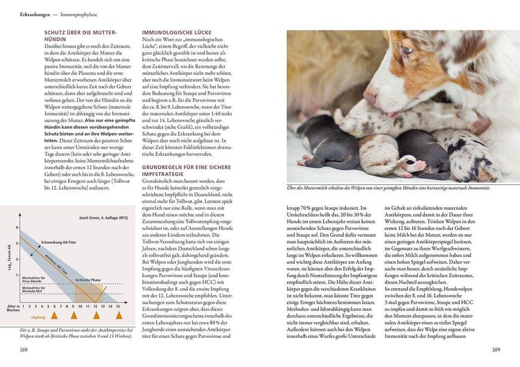 Produktbild: Hundezucht