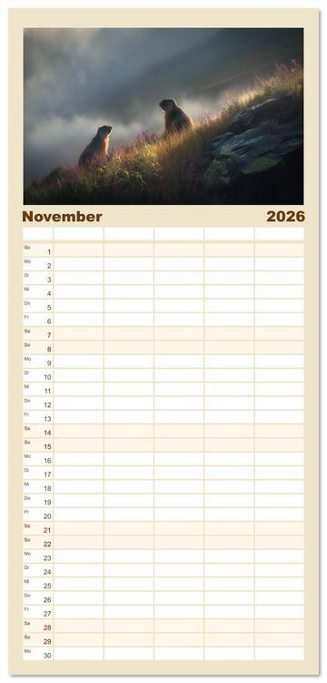 Produktbild: Familienplaner 2026 - Alpenpl&uuml;sch - Mit Murmeltieren durchs Jahr mit 5 Spalten (Wandkalender, 21 x 45 cm) CALVENDO