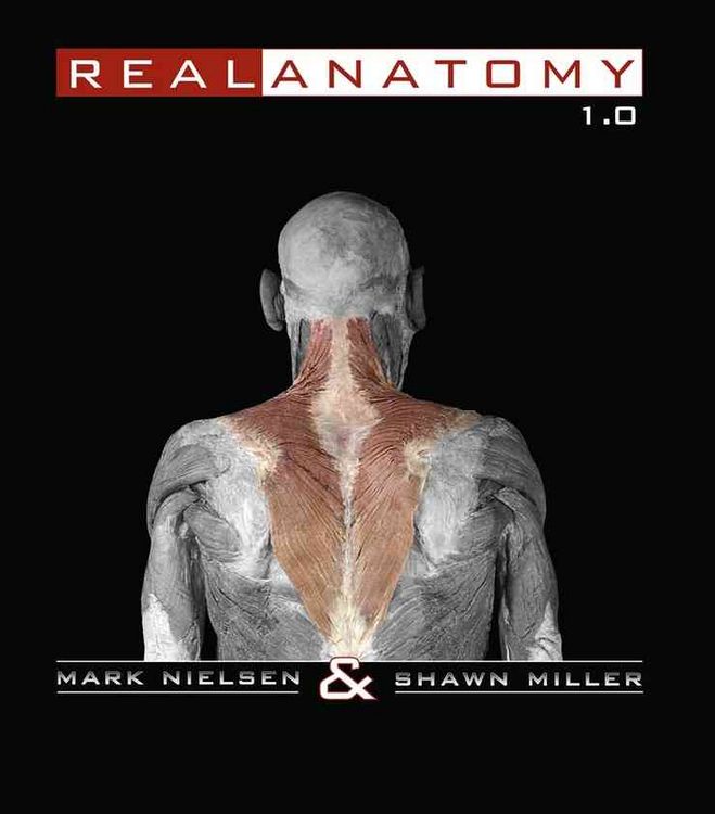 Produktbild: Real Anatomy Software Dvd