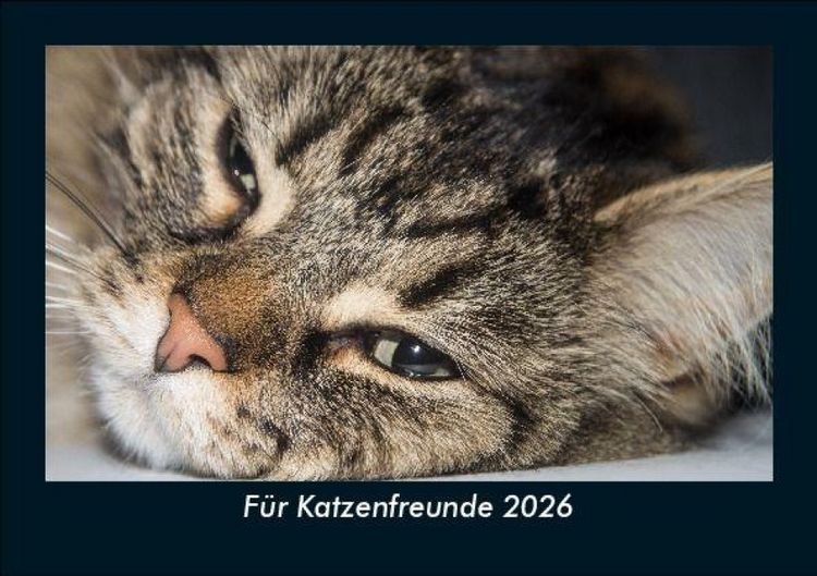 Produktbild: F&uuml;r Katzenfreunde 2026 Fotokalender DIN A5