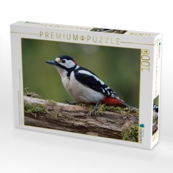 Produktbild: CALVENDO Puzzle Buntspecht / Dendrocopos major / Great Spotted Woodpecker | 1000 Teile Lege-Gr&ouml;&szlig;e 64x48cm Foto-Puzzle f&uuml;r gl&uuml;ckliche Stunden