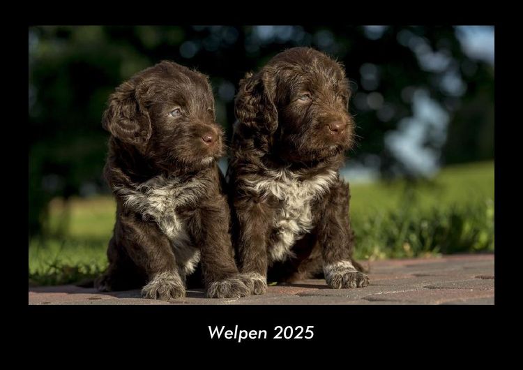 Produktbild: Welpen 2025 Fotokalender DIN A3