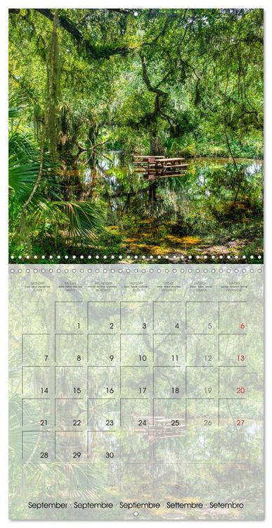 Produktbild: Florida &ndash; Discoveries in the Sunshine State (Wall Calendar 2026 12 &times; 12 Inch) CALVENDO 12 Month Wall Calendar