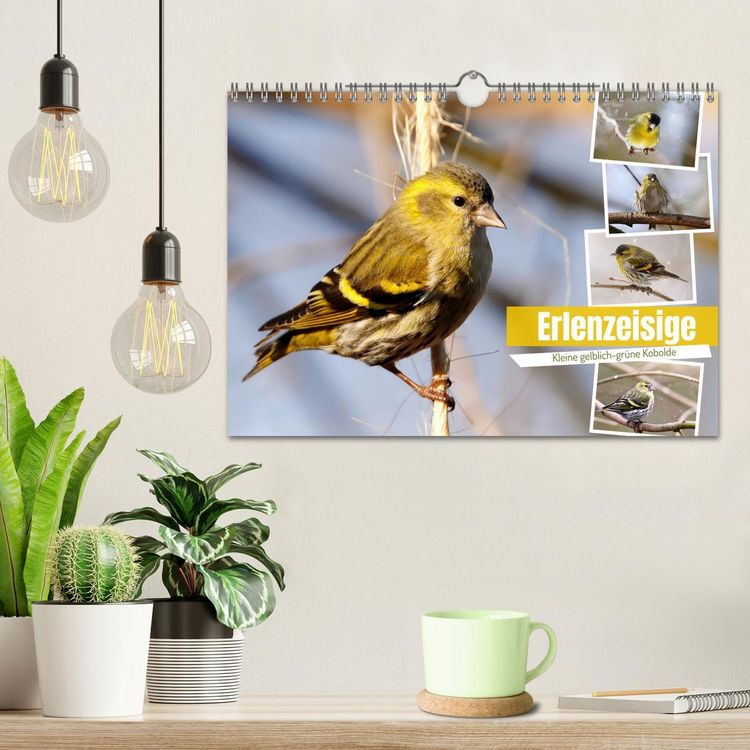 Produktbild: Erlenzeisige (Wandkalender 2026 DIN A4 quer), CALVENDO Monatskalender