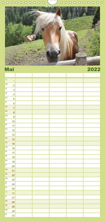 Produktbild: Familienplaner Alpenpferde (Wandkalender 2022 , 21 cm x 45 cm, hoch)