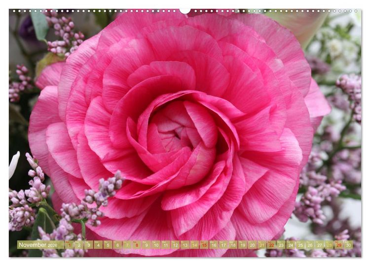 Produktbild: A Flower Festival (High Quality Premium Wall Calendar 2026 DIN A2 landscape),CALVENDO 12 Month Wall Calendar