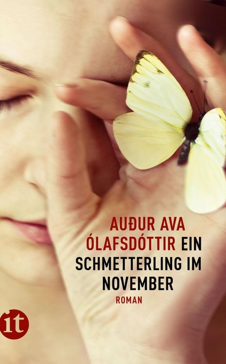 Produktbild: Ein Schmetterling im November