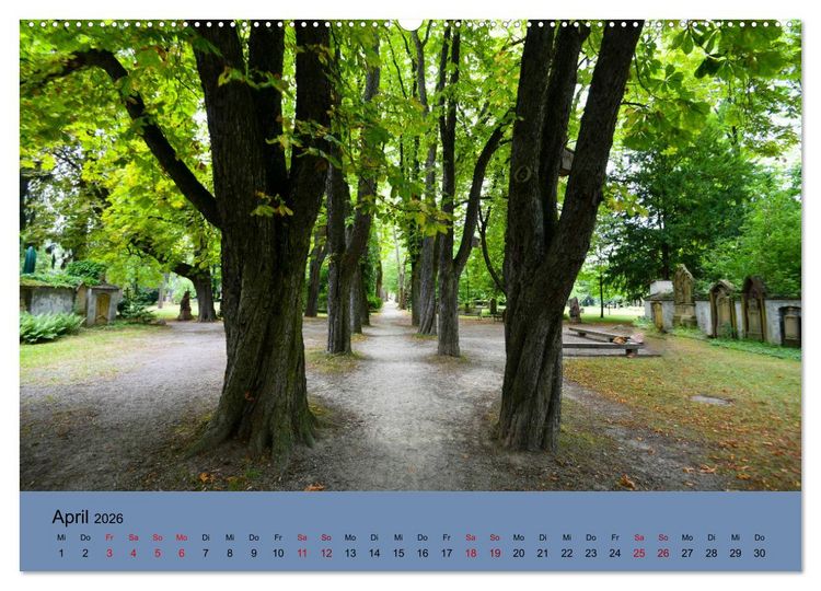 Produktbild: Wundervolles Freiburg (Wandkalender 2026 DIN A2 quer), CALVENDO Monatskalender