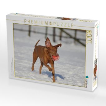 Produktbild: CALVENDO Puzzle Ein Motiv aus dem Kalender Magyar Vizsla | 1000 Teile Lege-Gr&ouml;&szlig;e 64x48cm Foto-Puzzle f&uuml;r gl&uuml;ckliche Stunden