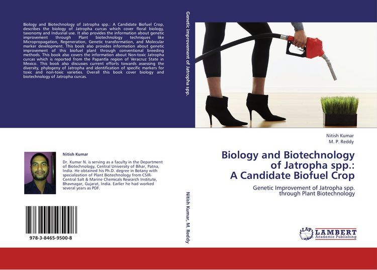 Produktbild: Biology and Biotechnology of Jatropha spp.: A Candidate Biofuel Crop