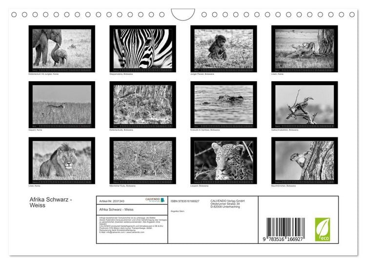 Produktbild: Afrika Schwarz - Weiss (Wandkalender 2026 DIN A4 quer), CALVENDO Monatskalender