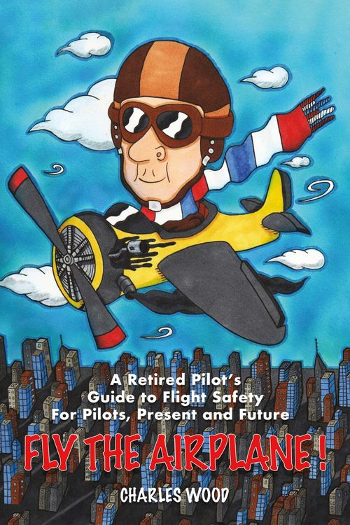 Produktbild: Fly the Airplane!