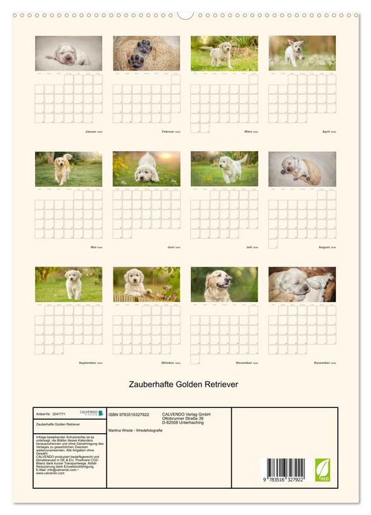 Produktbild: Zauberhafte Golden Retriever (hochwertiger Premium Wandkalender 2026 DIN A2 hoch), Kunstdruck in Hochglanz