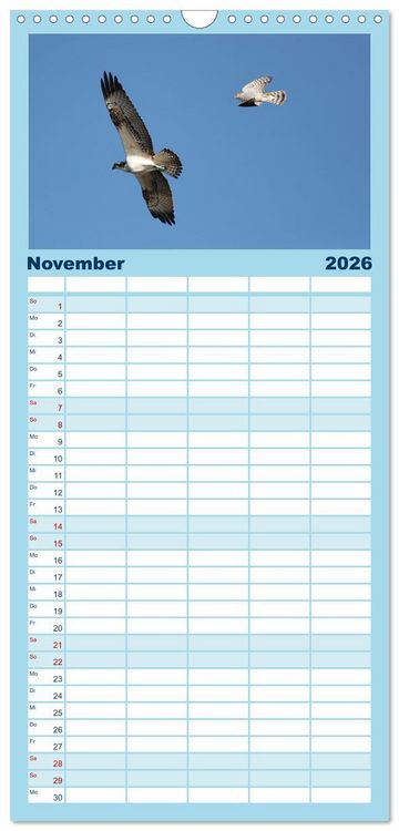 Produktbild: Familienplaner 2026 - Fischadler - Meister des Sturzfluges mit 5 Spalten (Wandkalender, 21 x 45 cm) CALVENDO