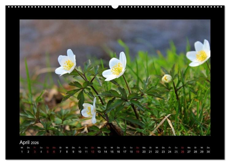 Produktbild: Landschaft Teufelsmoor / 2026 (hochwertiger Premium Wandkalender 2026 DIN A2 quer), Kunstdruck in Hochglanz