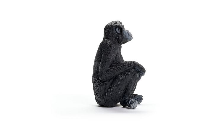 Produktbild: schleich&reg; 14875 - Wild Life, Bonobo Weibchen, Affe, Tierfigur, H&ouml;he: 6 cm