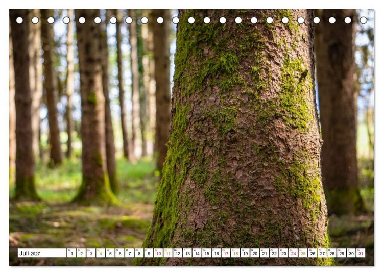 Produktbild: Natur hautnah Kalender (Tischkalender 2027 DIN A5 quer), CALVENDO Monatskalender