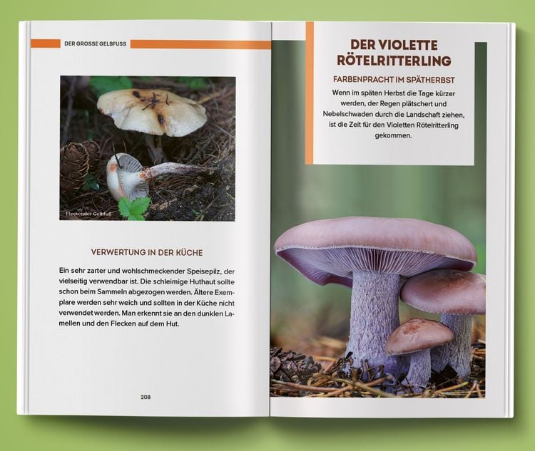 Produktbild: Unbekannte Leckereien: 30 Pilzarten, deren Geschmack dich &uuml;berraschen wird
