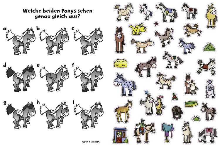 Produktbild: 555 Sticker Pferde