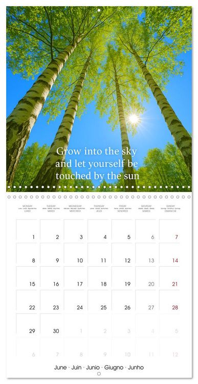 Produktbild: Let the moment guide you (Wall Calendar 2026 12 &times; 12 Inch) CALVENDO 12 Month Wall Calendar