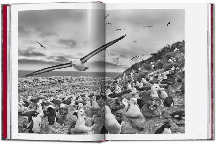 Produktbild: Sebasti&atilde;o Salgado