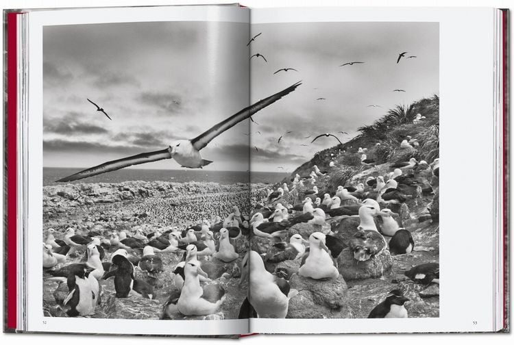 Produktbild: Sebasti&atilde;o Salgado