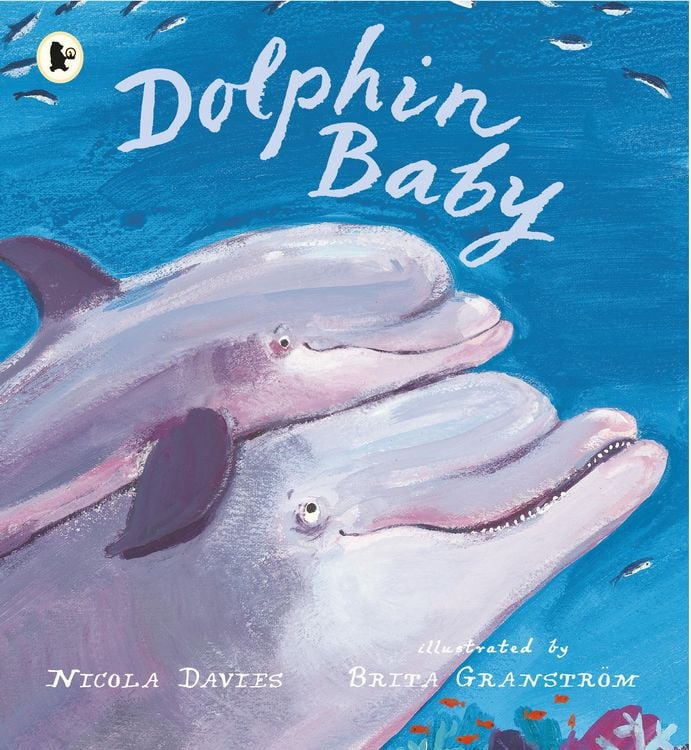 Produktbild: Dolphin Baby