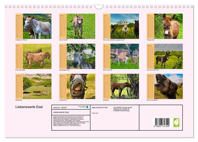 Produktbild: Liebenswerte Esel (Wandkalender 2026 DIN A3 quer), CALVENDO Monatskalender