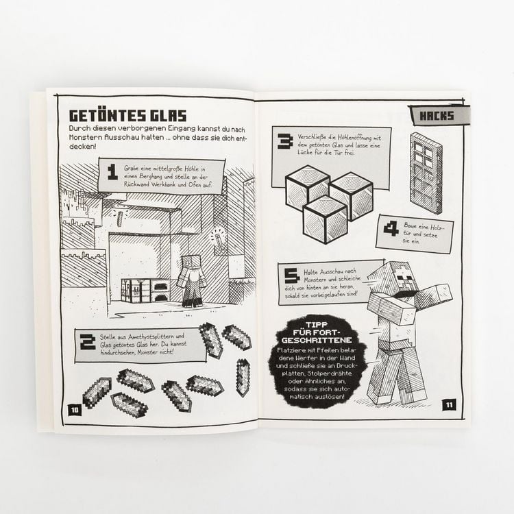 Minecraft Tipps, Tricks & Hacks. Über 200 Game Changer für schnellen Erfolg