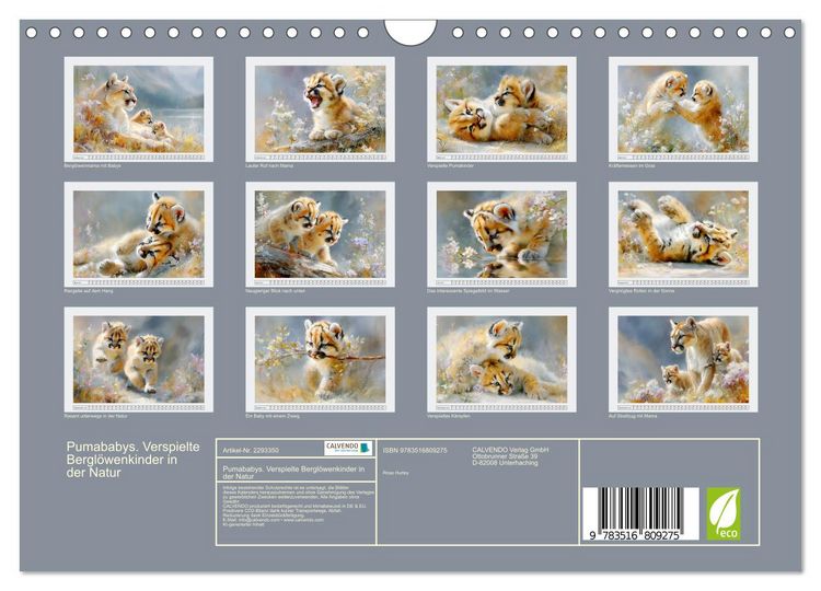Produktbild: Pumababys. Verspielte Bergl&ouml;wenkinder in der Natur (Wandkalender 2027 DIN A4 quer), CALVENDO Monatskalender