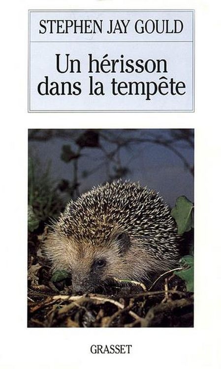 Produktbild: Un Herisson Dans La Tempete