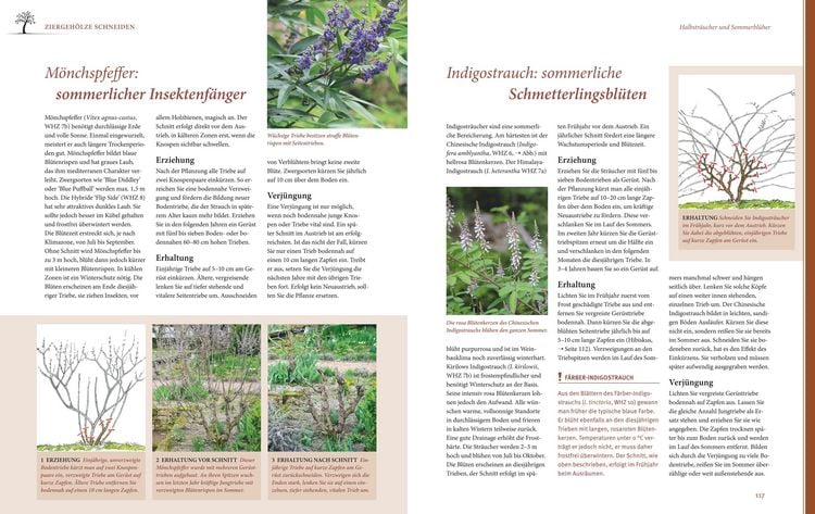 Produktbild: Das gro&szlig;e GU Praxishandbuch Pflanzenschnitt