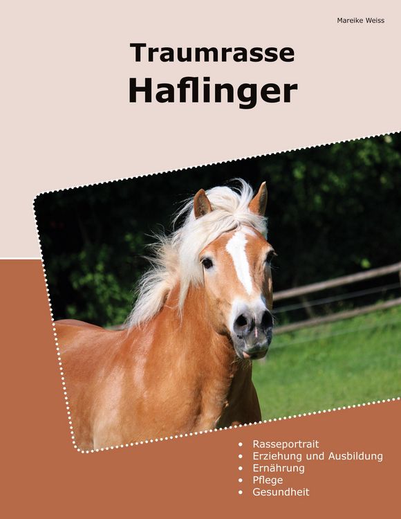 Produktbild: Traumrasse Haflinger