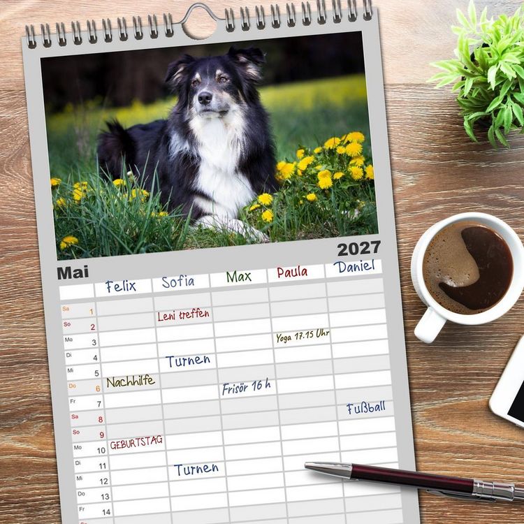 Produktbild: Familienplaner 2027 - Australian Shepherd - Traum auf vier Pfoten mit 5 Spalten (Wandkalender, 21 x 45 cm) CALVENDO