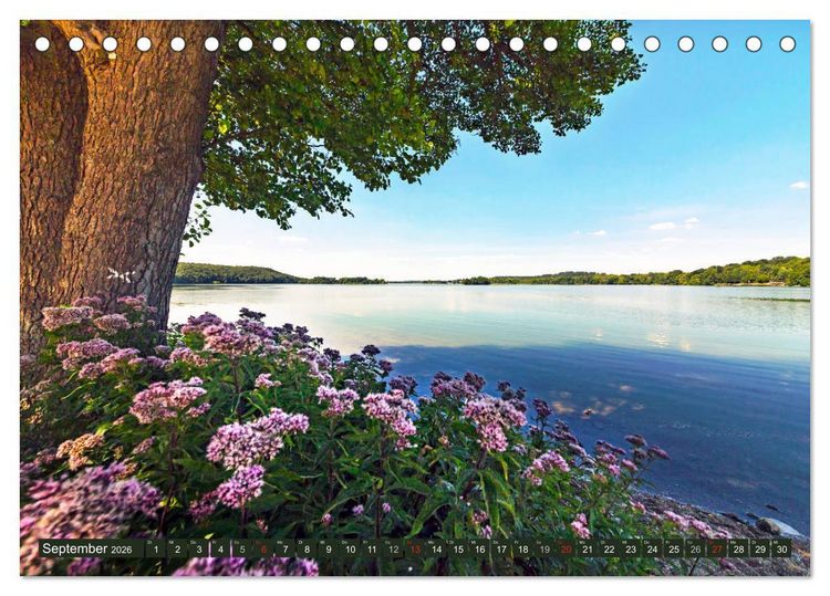 Produktbild: Holsteinische Schweiz - F&uuml;nf-Seen-Landschaft (Tischkalender 2026 DIN A5 quer), CALVENDO Monatskalender