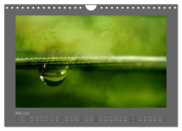 Produktbild: Kleine, gro&szlig;e Tropfenwelt (Wandkalender 2026 DIN A4 quer), CALVENDO Monatskalender