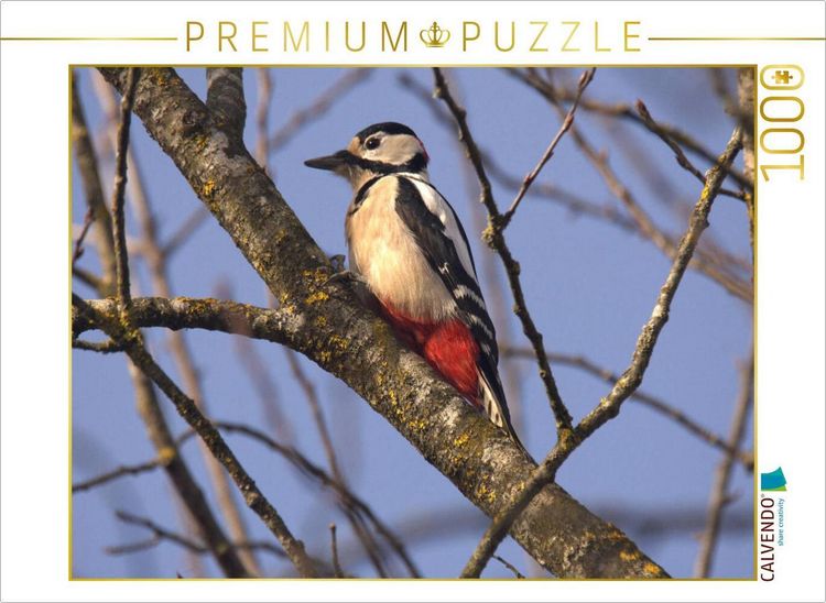 Produktbild: CALVENDO Puzzle Buntspecht | 1000 Teile Lege-Gr&ouml;&szlig;e 64x48cm Foto-Puzzle f&uuml;r gl&uuml;ckliche Stunden