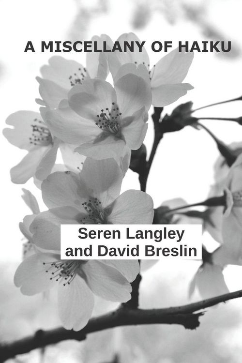 Produktbild: A Miscellany of Haiku