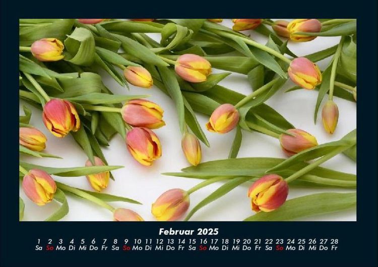 Produktbild: Blumenkalender 2025 Fotokalender DIN A4