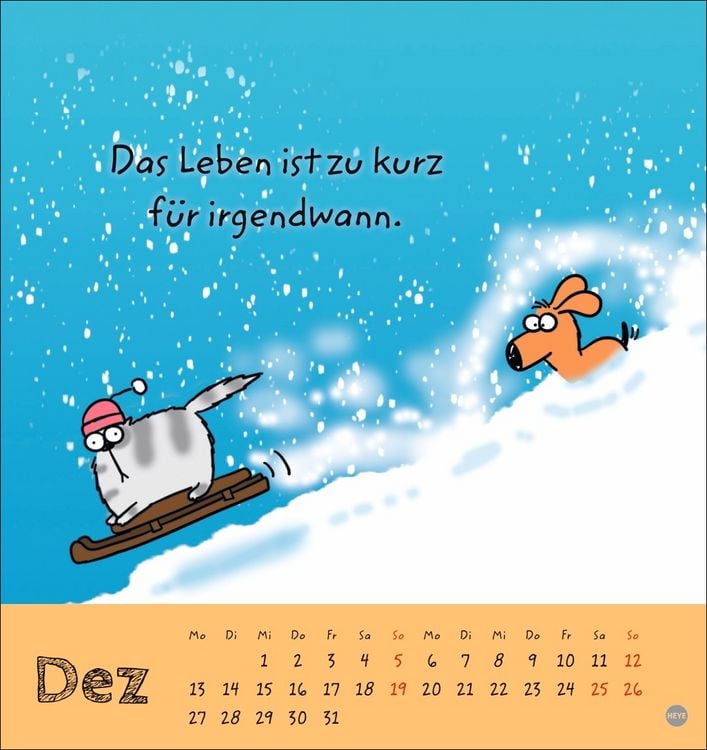 Produktbild: Catzz Postkartenkalender 2027