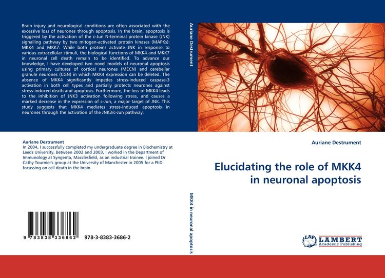 Produktbild: Elucidating the role of MKK4 in neuronal apoptosis
