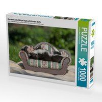 Produktbild: CALVENDO Puzzle Border Collie Welpe liegt auf kleinem Sofa 1000 Teile Lege-Gr&ouml;&szlig;e 64 x 48 cm Foto-Puzzle Bild von Andrea Mayer Tierfotografie