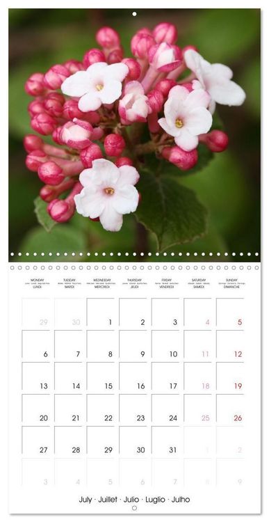 Produktbild: Kruse, G: Printemps toute l'ann&eacute;e (Calendrier mural carr&eacute; 20
