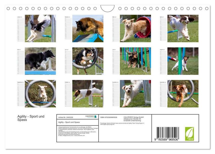 Produktbild: Agility - Sport und Spass (Wandkalender 2027 DIN A4 quer), CALVENDO Monatskalender