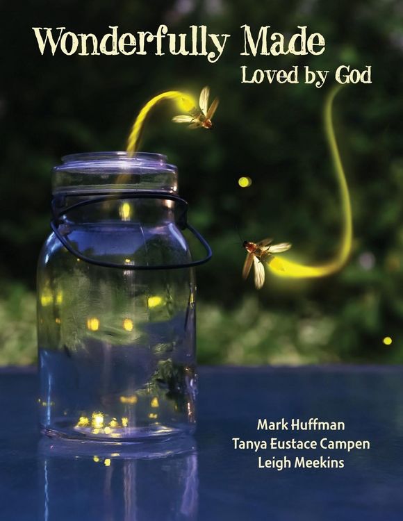 Produktbild: Wonderfully Made Participant Book