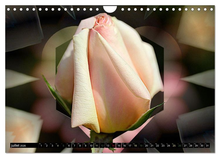 Produktbild: Bouquet d'un jour, bouquet pour toujours (Calendrier mural 2026 DIN A4 vertical), CALVENDO calendrier mensuel