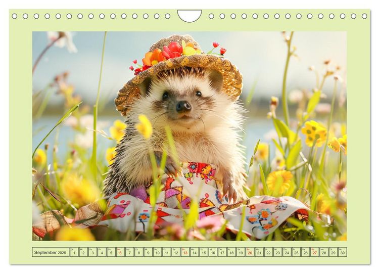 Produktbild: Zauberhafte Igel-Models. Blumiger Stil in der Natur (Wandkalender 2026 DIN A4 quer), CALVENDO Monatskalender
