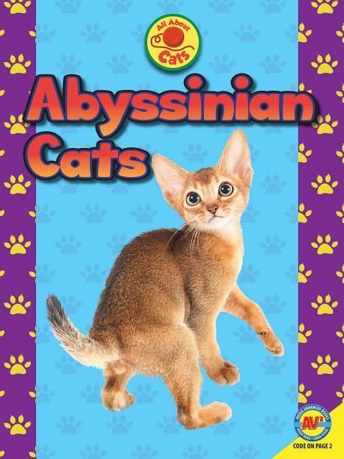 Produktbild: Abyssinian Cats