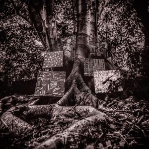 Produktbild: Harmony Of Difference